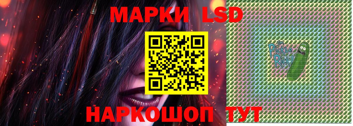 Псилоцибиновые грибы Кинешма